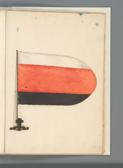 Vlag van het Timoeridische rijk