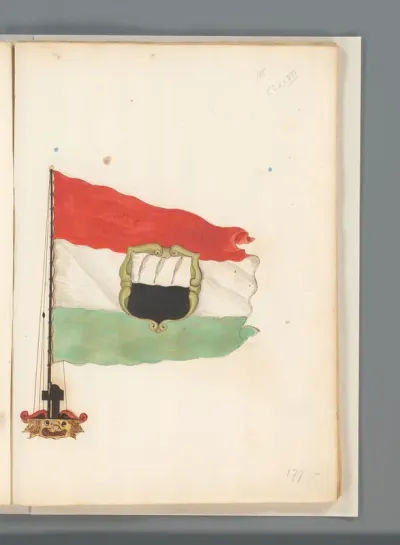 Vlag van Joure