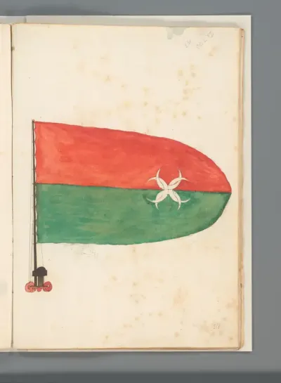 Vlag van Turkije