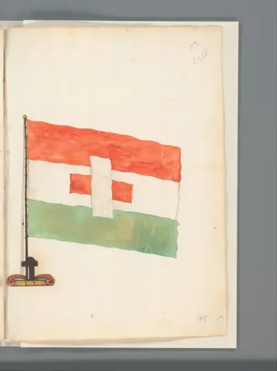 Vlag van Zaandam