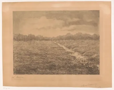 Vlak landschap met beek