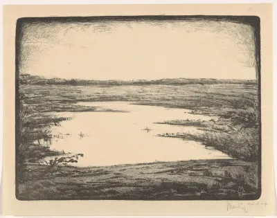 Vlak landschap met ven
