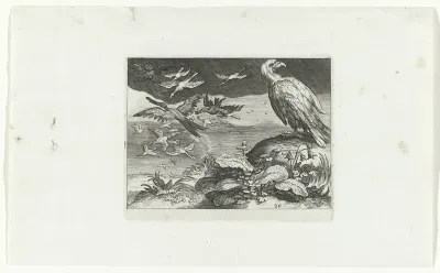 Vliegende vogels, roofvogel en planten