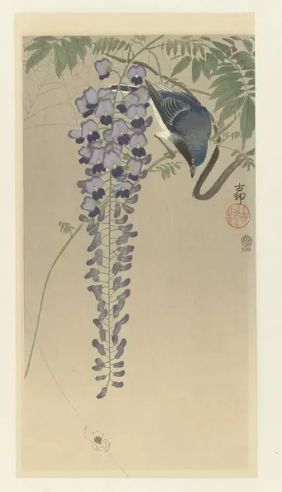 Vliegenvanger bij wisteria