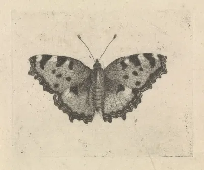 Vlinder