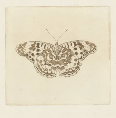 Vlinder
