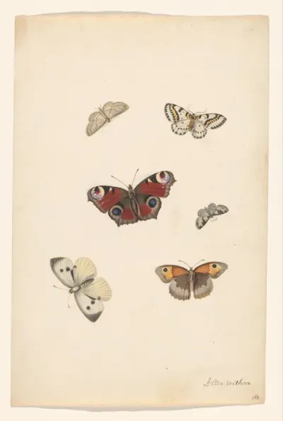 Vlinders
