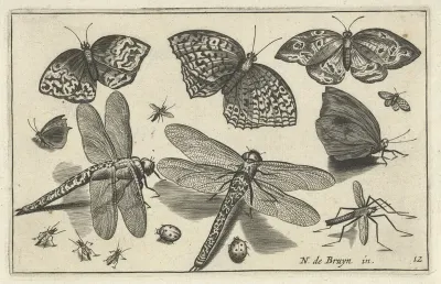 Vlinders en libellen