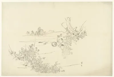 Vlinders vangen