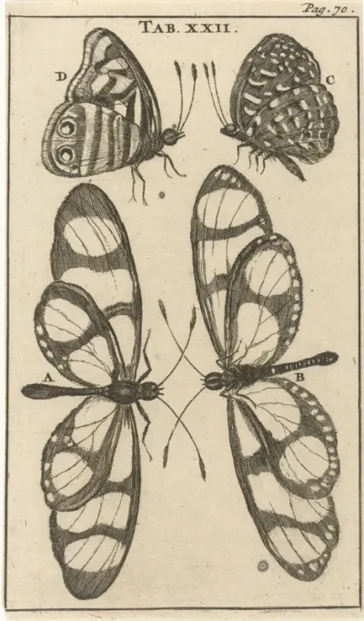 Vlinders XXII