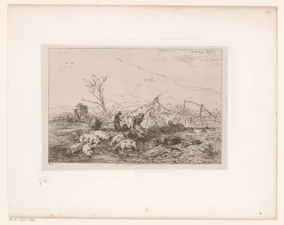 Voeden van de varkens
