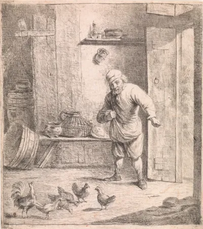 Voeren van de kippen