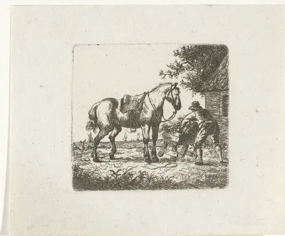 Voeren van het paard