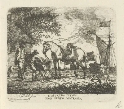 Voeren van het paard