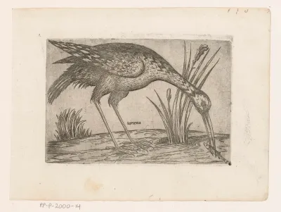 Vogel