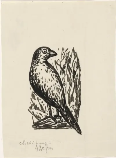 Vogel