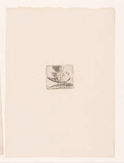 Vogel