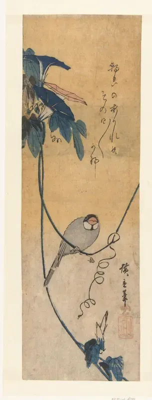 Vogel en blauwe winde