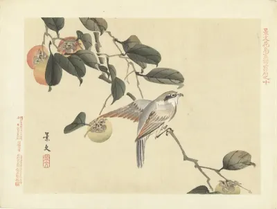 Vogel en kaki