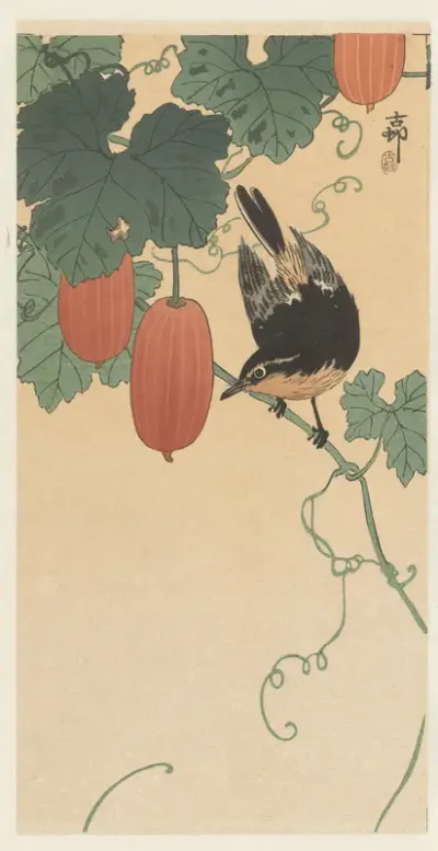 Vogel en kaki