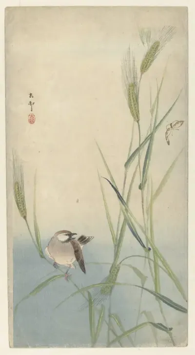 Vogel en vlinder