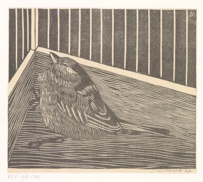 Vogel in hoek van een kooi