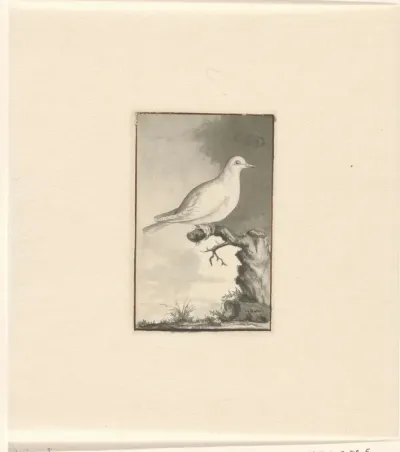 Vogel in landschap