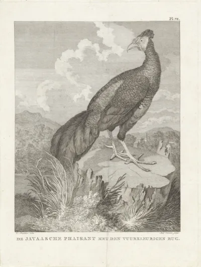 Vogel op een boomstronk in een landschap