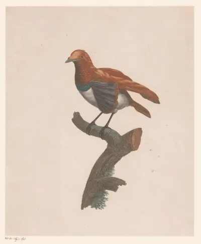 Vogel op een tak