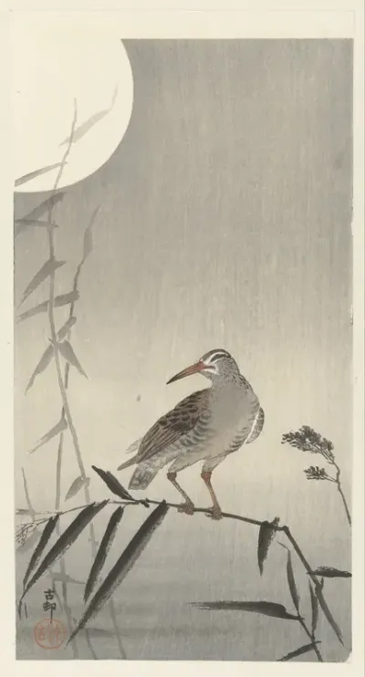 Vogel op rietstengel