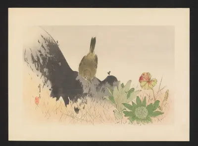 Vogel op rots bij plant