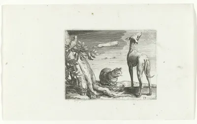 Vogel op tak, vogel in de lucht, kat en hond
