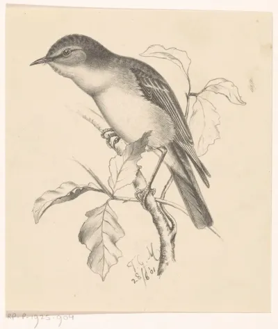Vogel op tak