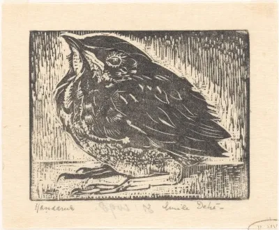Vogeljong