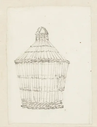 Vogelkooi