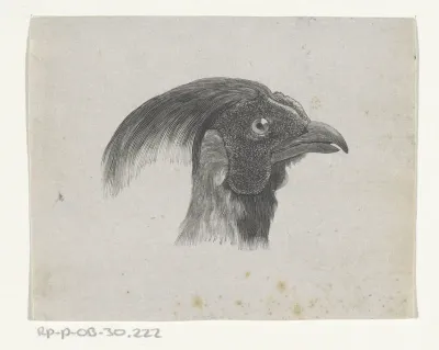 Vogelkop (mogelijk een fazant)