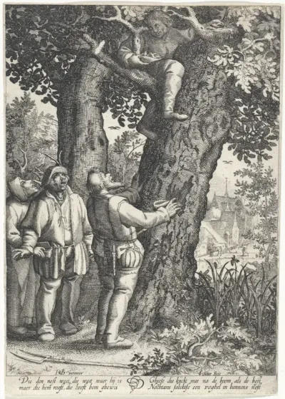 Vogelnestrover