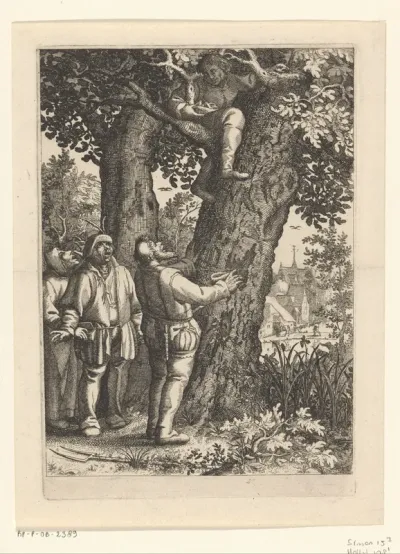 Vogelnestrover