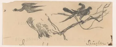 Vogels