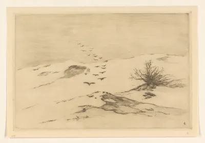 Vogels boven een duinlandschap