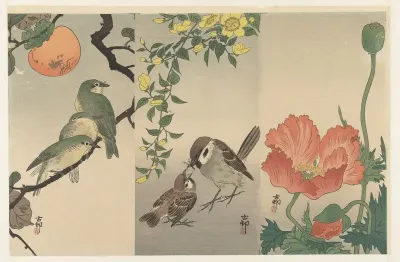 Vogels en planten