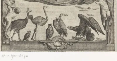 Vogels en roofvogels getoond door putti