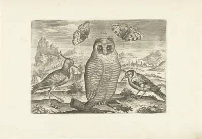 Vogels en vlinders in een landschap