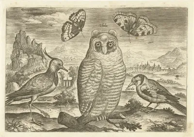 Vogels en vlinders in een landschap