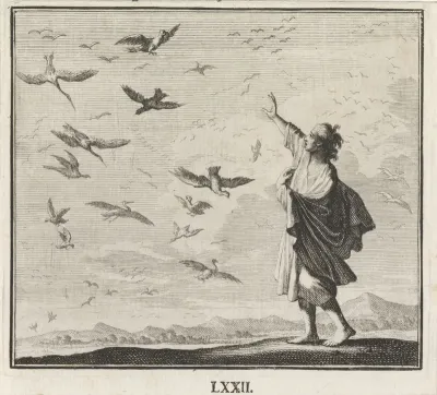 Vogels in de lucht