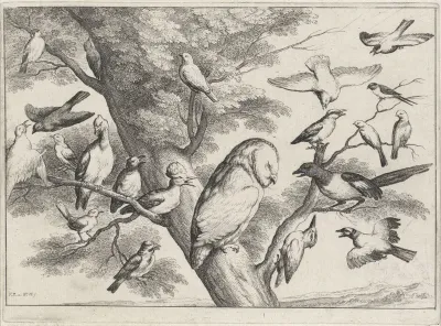 Vogels in een boom