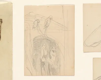 Vogels in een volière
