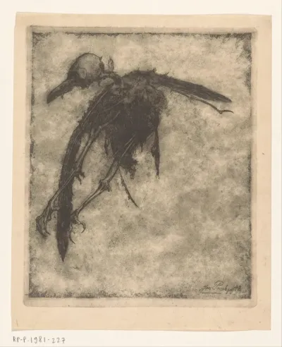 Vogelskelet