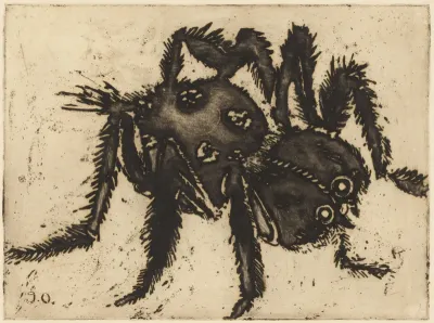 Vogelspin