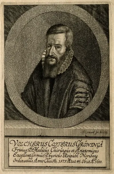 Volcher Coiter. Etching by J. F. Leonart, 1669, after N. Neufchatel, 1575
